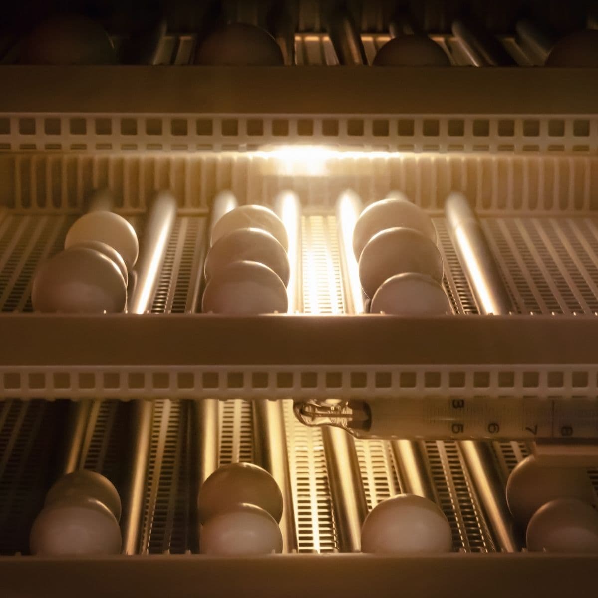 Hình ảnh nhà xưởng 3