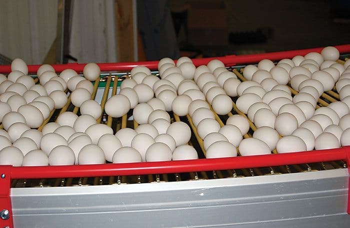 Hình ảnh nhà xưởng 4