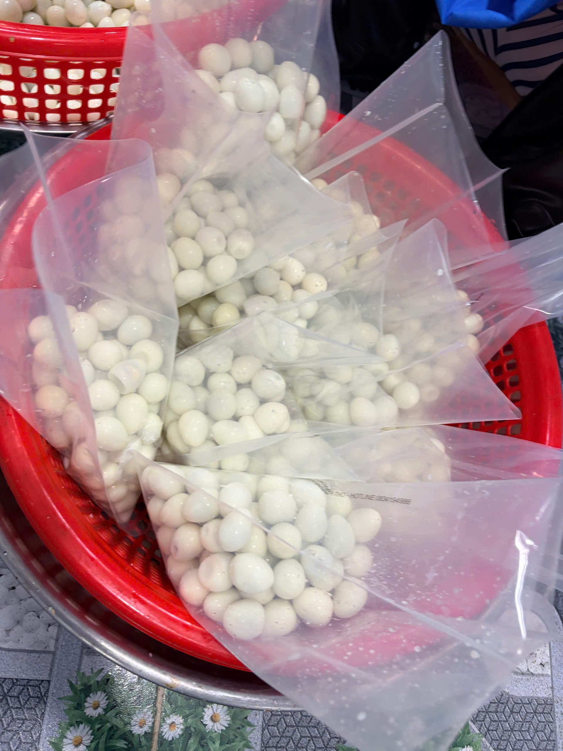 Hình ảnh nhà xưởng 5